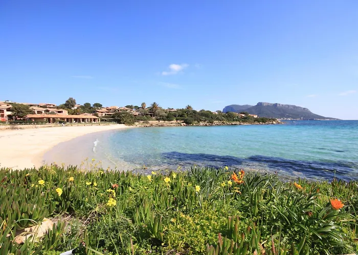 Ponente * Golfo Aranci